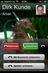 iOS 6 Telefon